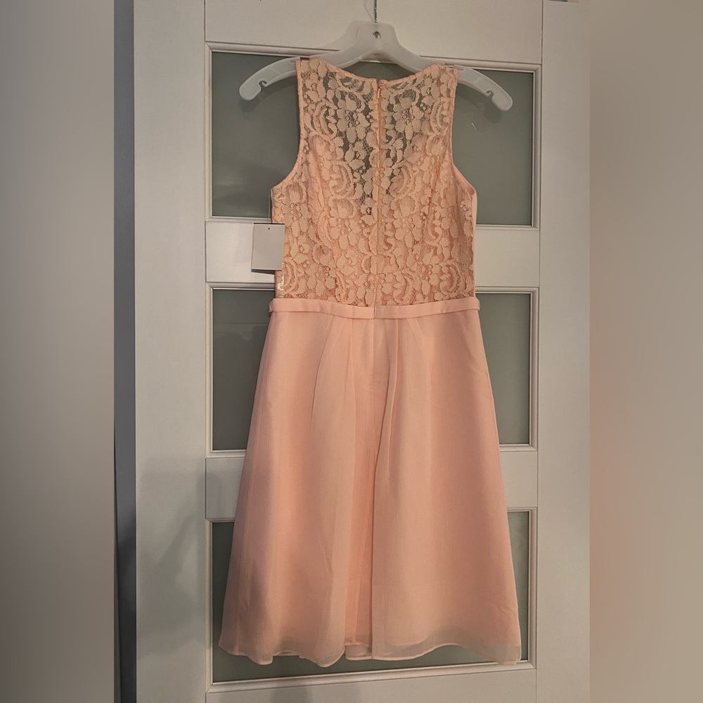 Petal Pink Lace Woman’s Dress
